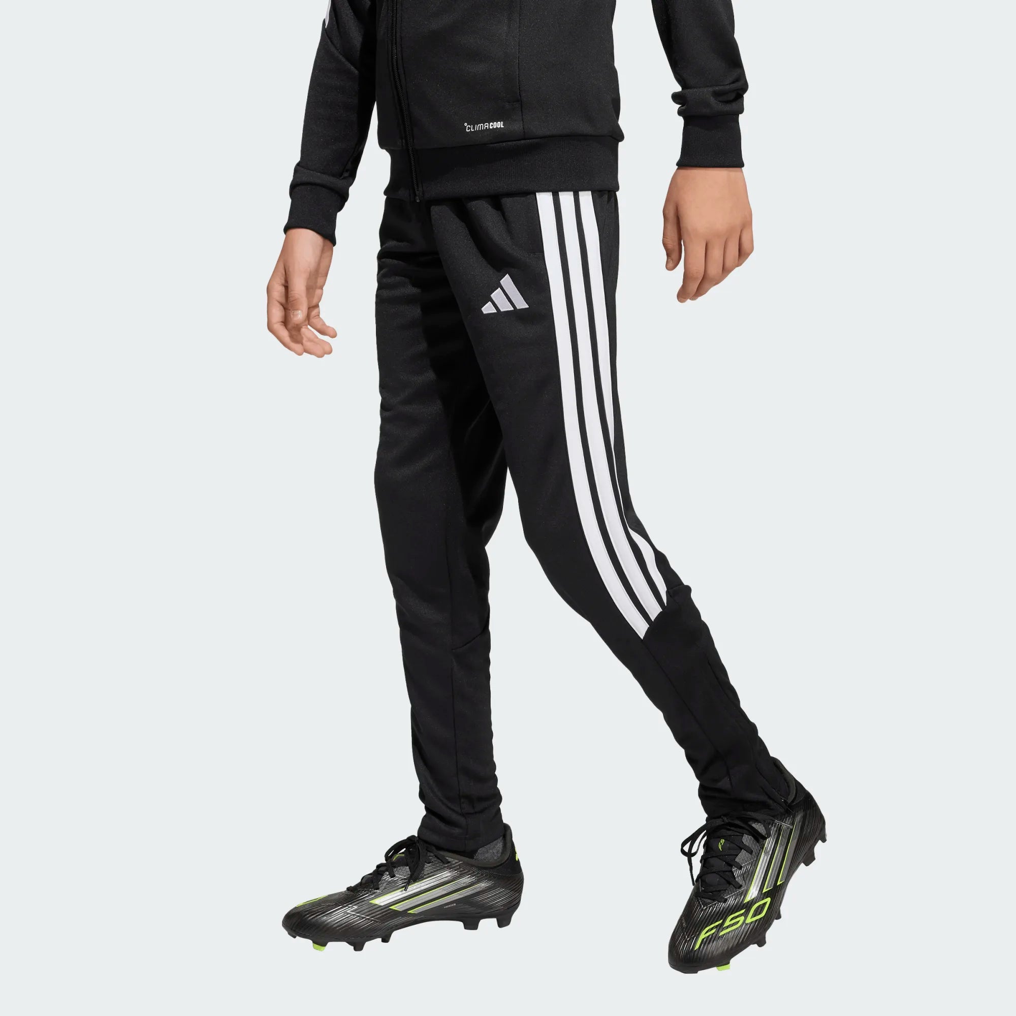 Tiro26 League Training Pants - TSV Zebra-Kit