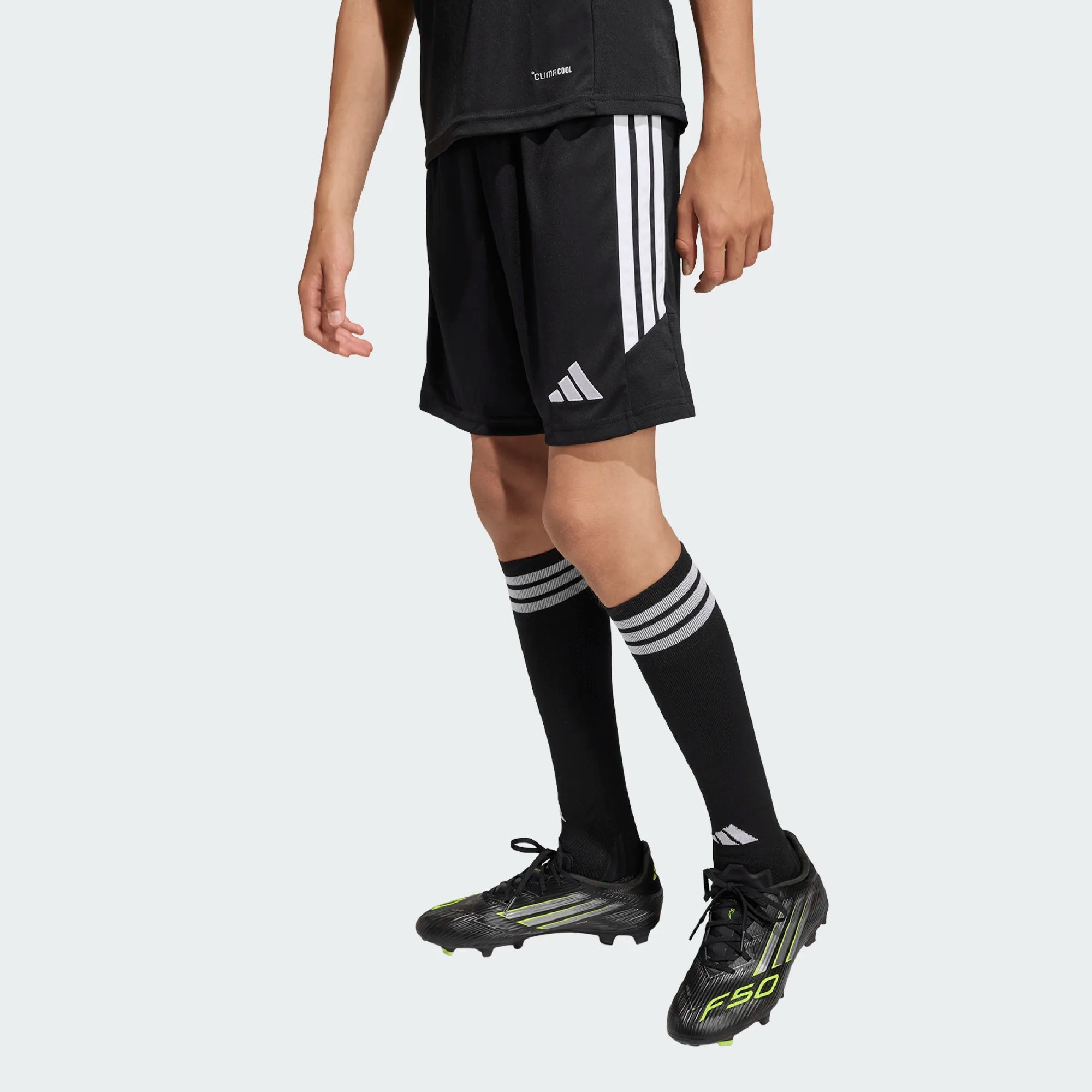 Tiro26 League Shorts - TSV Zebra - Kit