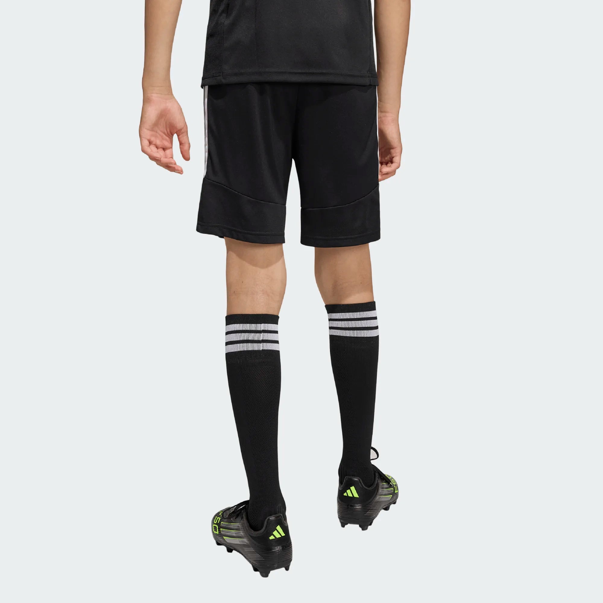 Tiro26 League Shorts - TSV Zebra - Kit